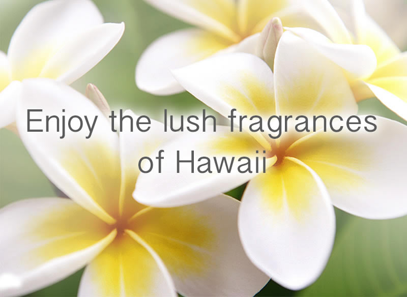 Made with Aloha in Hawaii