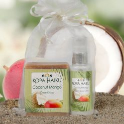 Coconut Mango Soap & Lotion Set